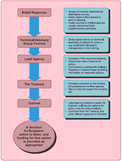 figure5.gif