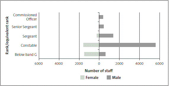 Figure 10: Number of staff by rank or rank-equivalent and gender, as at October 2009. 