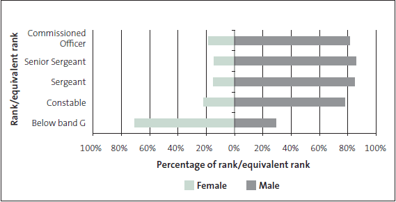 Figure 11: Percentage of staff by rank or rank-equivalent and gender, as at October 2009. 