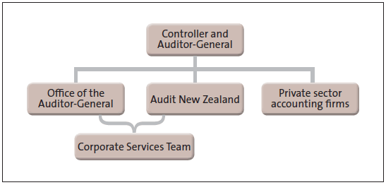 Figure 19 - Our operating model. 