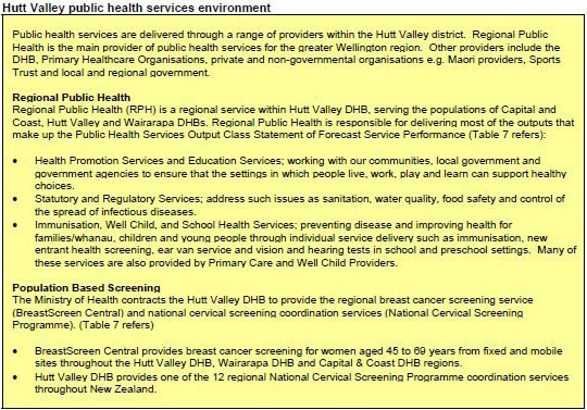 Table detailing Hutt Valley public health services environment