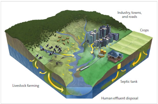 Figure 3: Sources of freshwater pollution. 