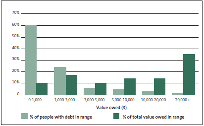 Figure 7: Distribution of total debt (current and former clients) as at 30 June 2010. 