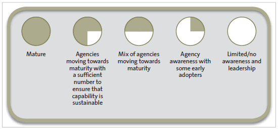 Figure 5 - Maturity model scale. 