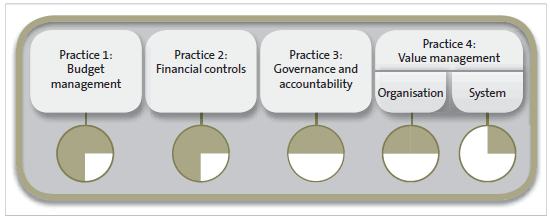 Figure 7 Stage of maturity – External governance. 