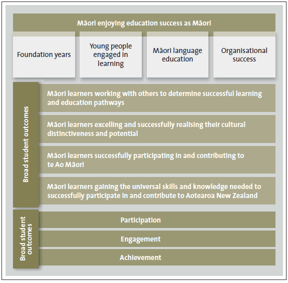 Figure 1 The overarching aim, focus activities, broad student outcomes, and critical drivers of Ka Hikitia. 