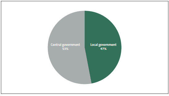 Figure 1 Local and central government's shares of public assets. 