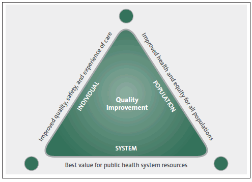 Figure 4 New Zealand Triple Aim Initiative objectives. 