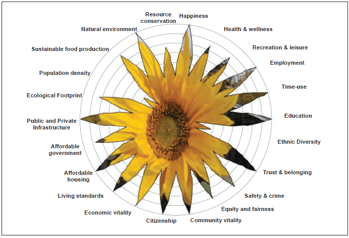 Figure 1: One way of displaying indicators of a community's well being. 