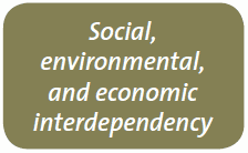 Social environmental, and economic interdependency