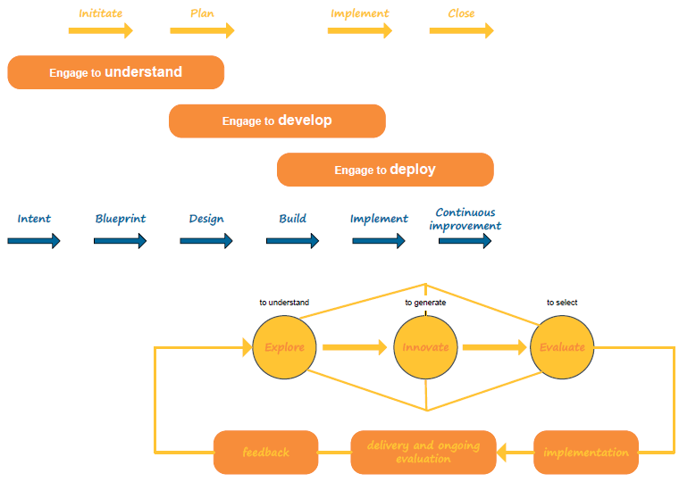 Figure 14 - Department of Human Services co design strategy53. 