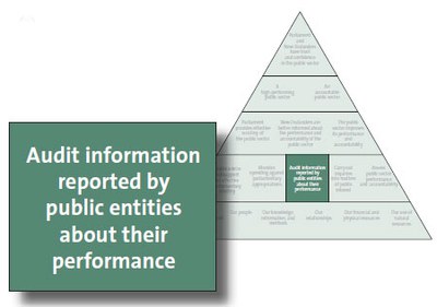 Audit information reported by public entities about their performance