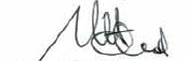 John Strahl signature