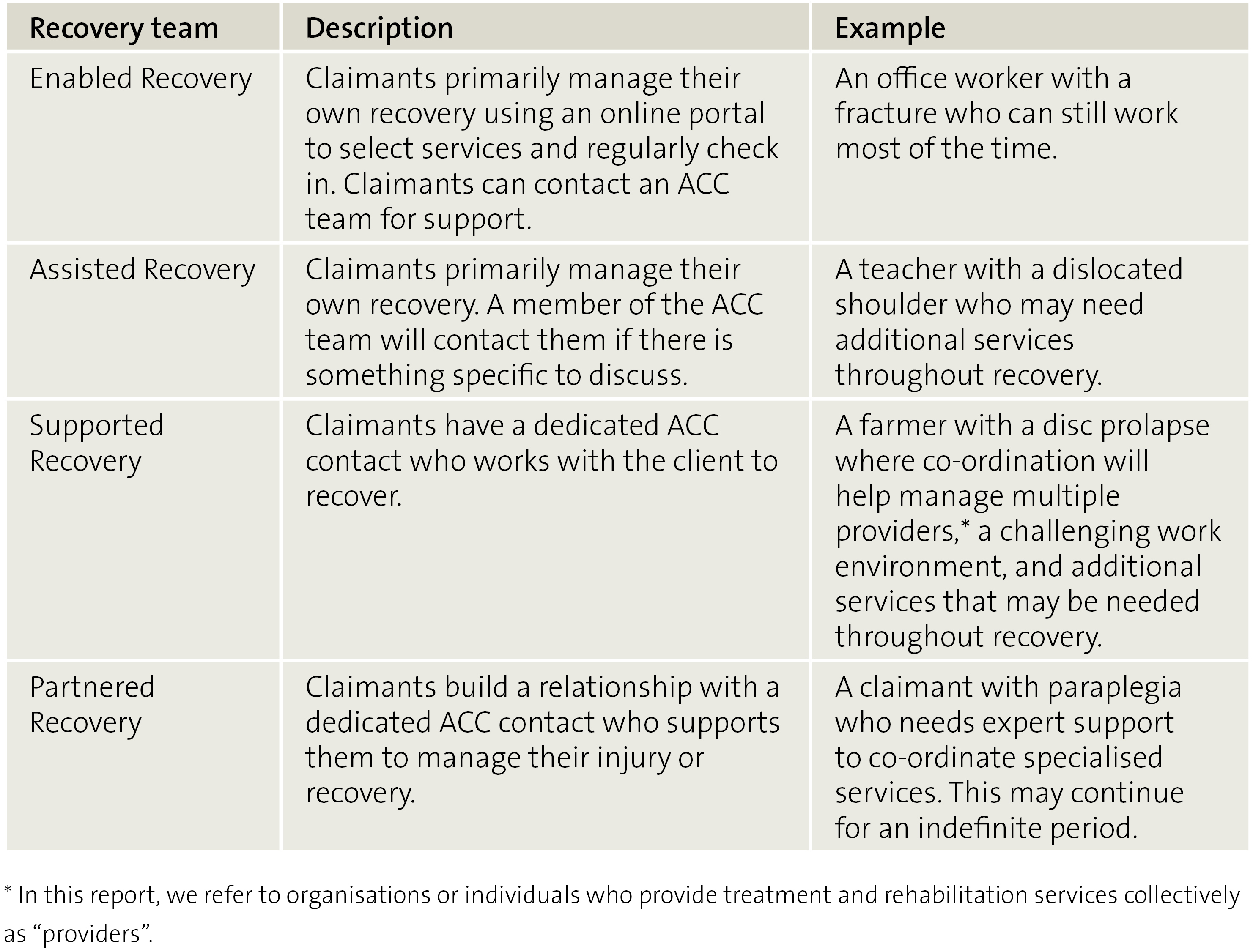 Figure 1 The different types of support the four Recovery teams provide