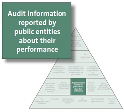Audit information reported by public entities about their performance