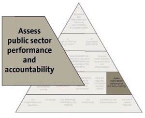 Asses public sector performance and accountability