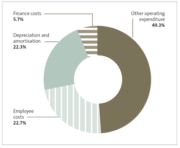 Pie chart showing councils’ categories of actual operating expenditure.  49.3% was for other operating expenditure. 22.7% was for employee costs. 22.35% was for depreciation and amortisation. 5.7% was for finance costs.
