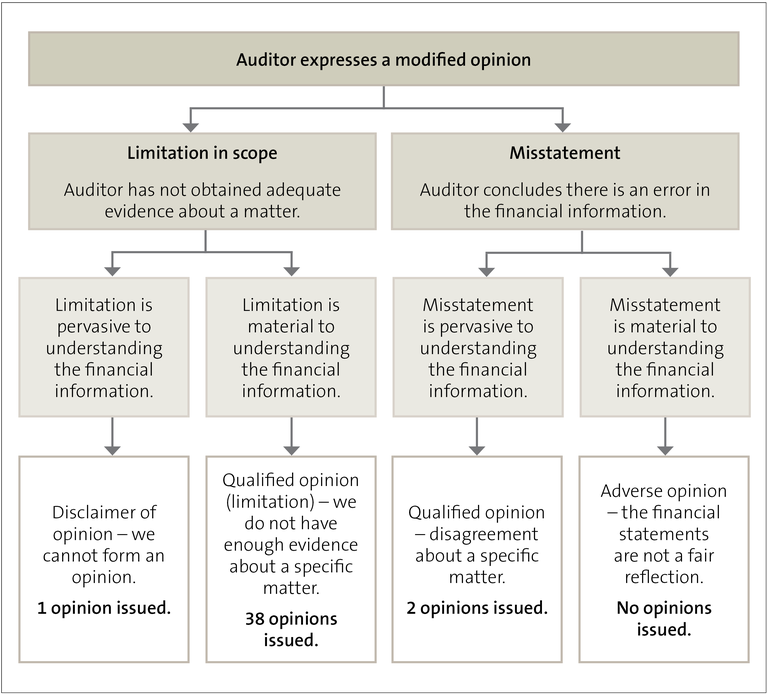 Figure 2 - Types of modified opinions