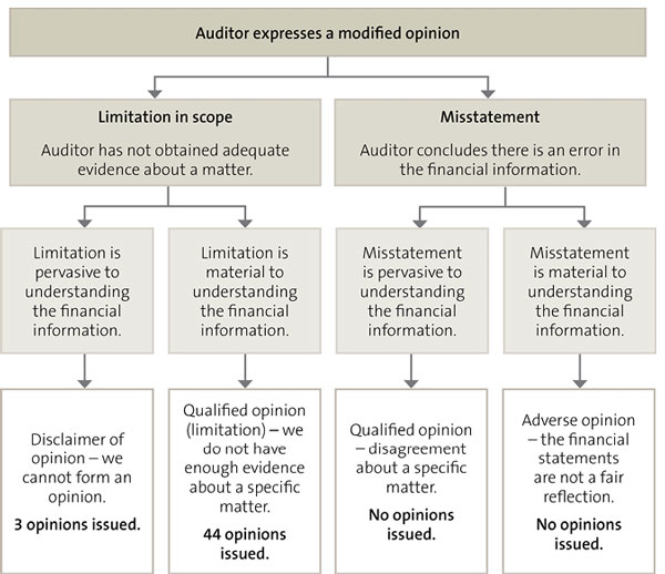 Figure 2: Types of modified opinions