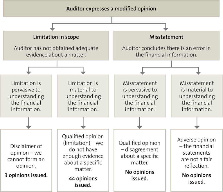 Figure 2 - Types of modified opinions