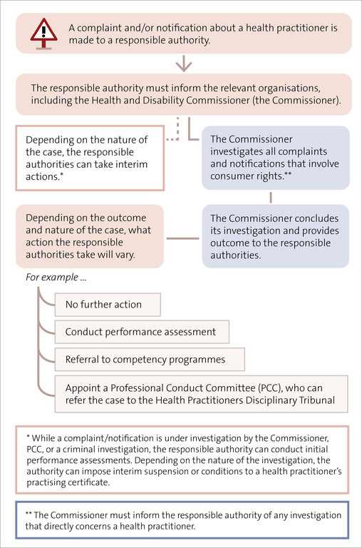 Appendix 1 - The complaints and notifications process