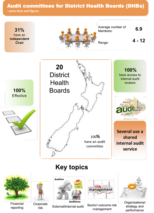 About audit committees in district health boards