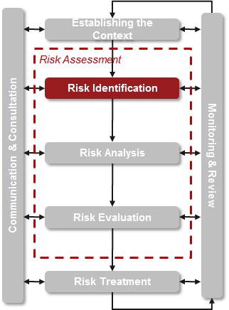 risk-identification.png