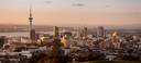 Auckland City view from Mount Eden