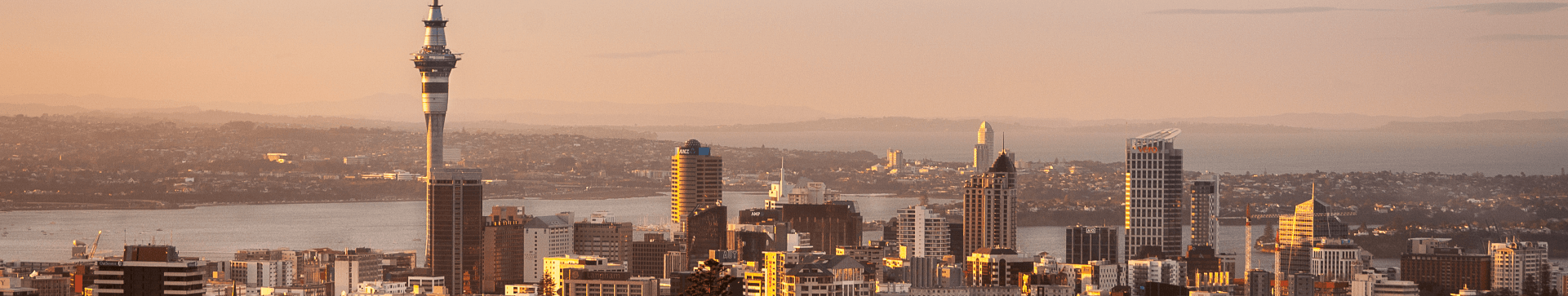 Auckland City view from Mount Eden